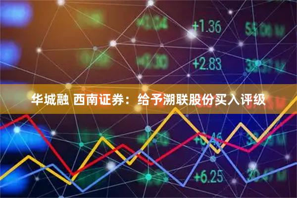 华城融 西南证券：给予溯联股份买入评级