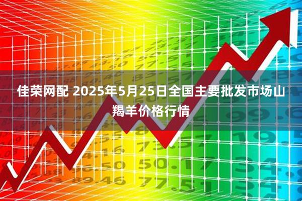 佳荣网配 2025年5月25日全国主要批发市场山羯羊价格行情