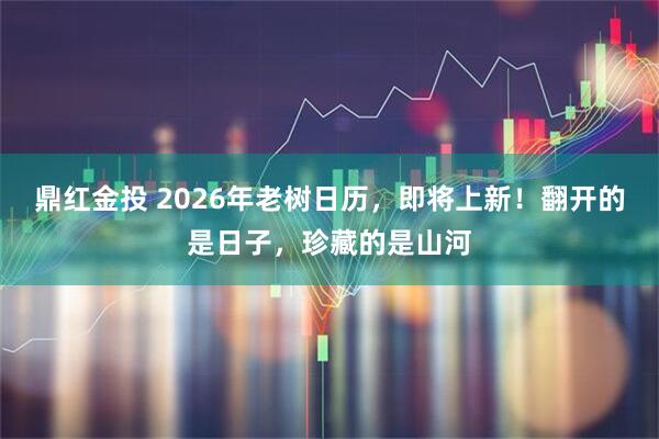鼎红金投 2026年老树日历，即将上新！翻开的是日子，珍藏的是山河