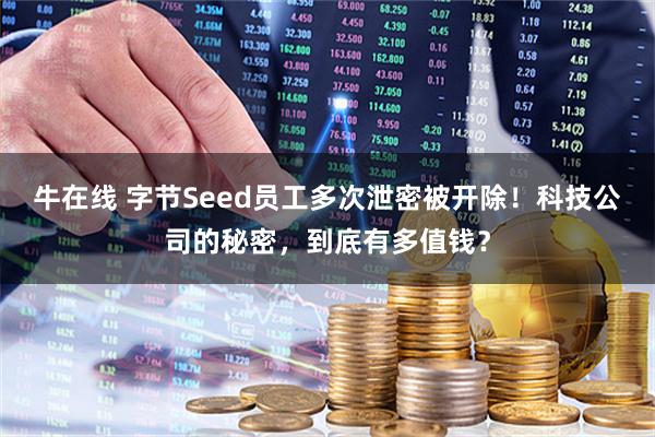 牛在线 字节Seed员工多次泄密被开除！科技公司的秘密，到底有多值钱？